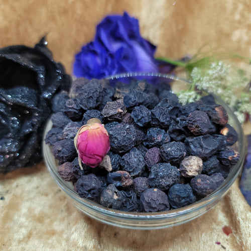 Sloe Berries