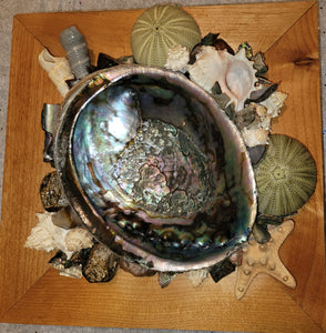 Sacred Herb Stand/shelf with 6.5-7 inch Abalone Shell