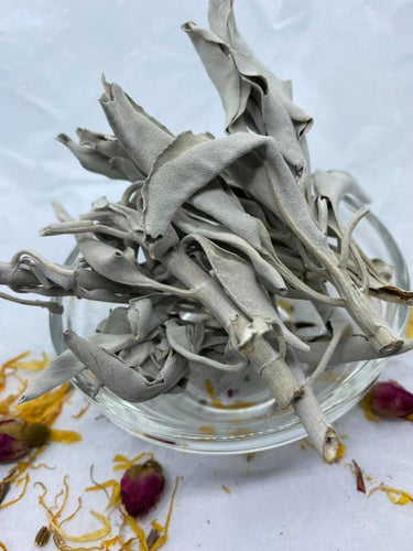 Sage Leaf