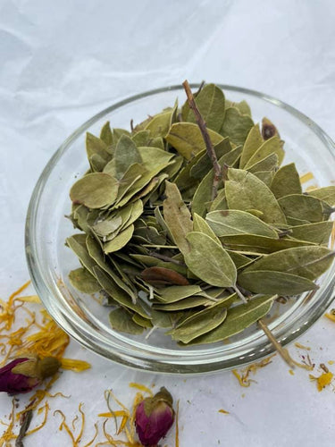 Uva Ursi Leaf
